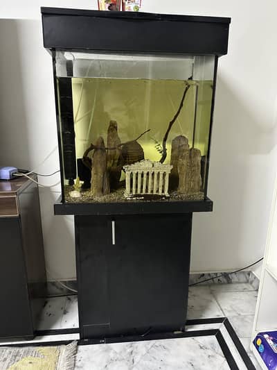 Complete Aquarium Set up for sale