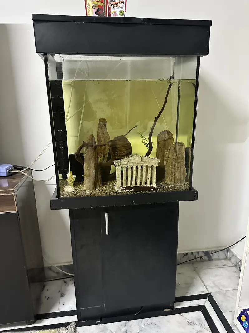 Complete Aquarium Set up for sale — photo 2