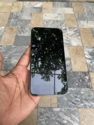 Apple iPhone 12 Pro Max