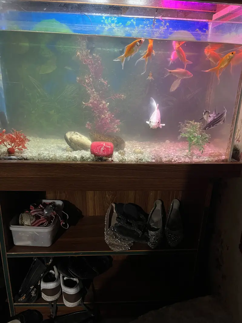 Fish Aquarium with stand — photo 2