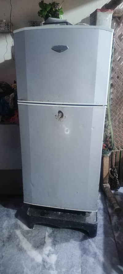 Hair fridge