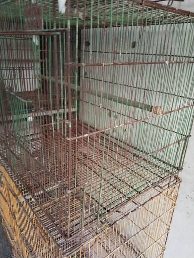 cage available 10 by 8 condition 3 pice  cage hay 4 portions  cage