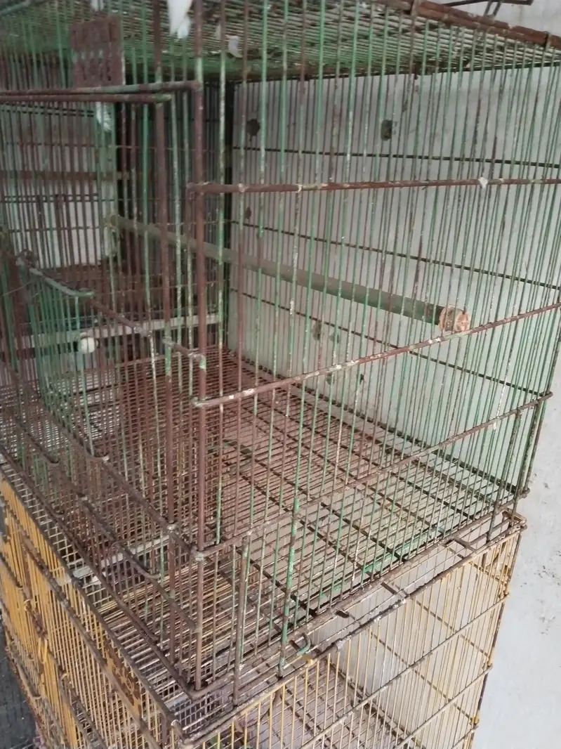 cage available 10 by 8 condition 3 pice  cage hay 4 portions  cage