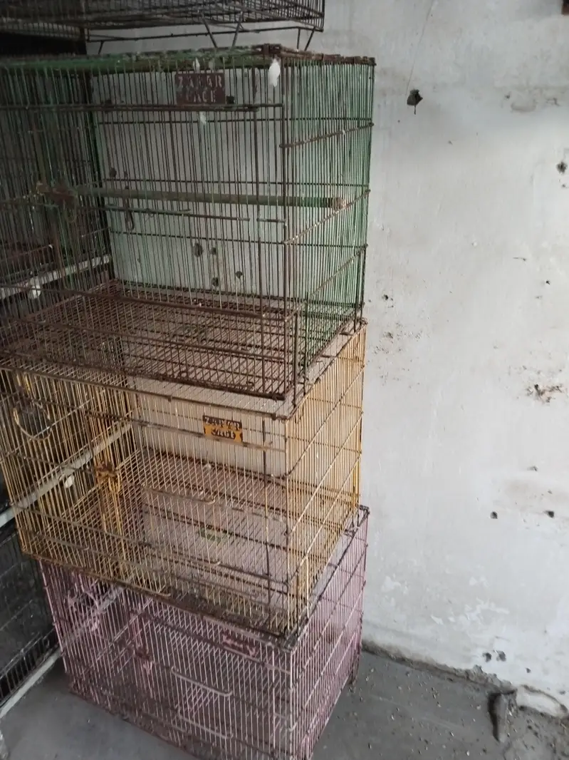 cage available 10 by 8 condition 3 pice  cage hay 4 portions  cage — photo 2