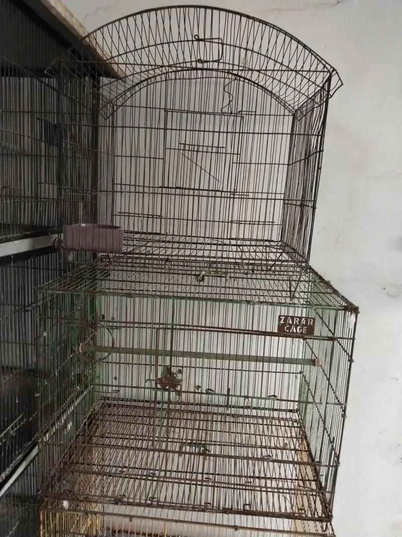 cage available 10 by 8 condition 3 pice  cage hay 4 portions  cage — photo 3