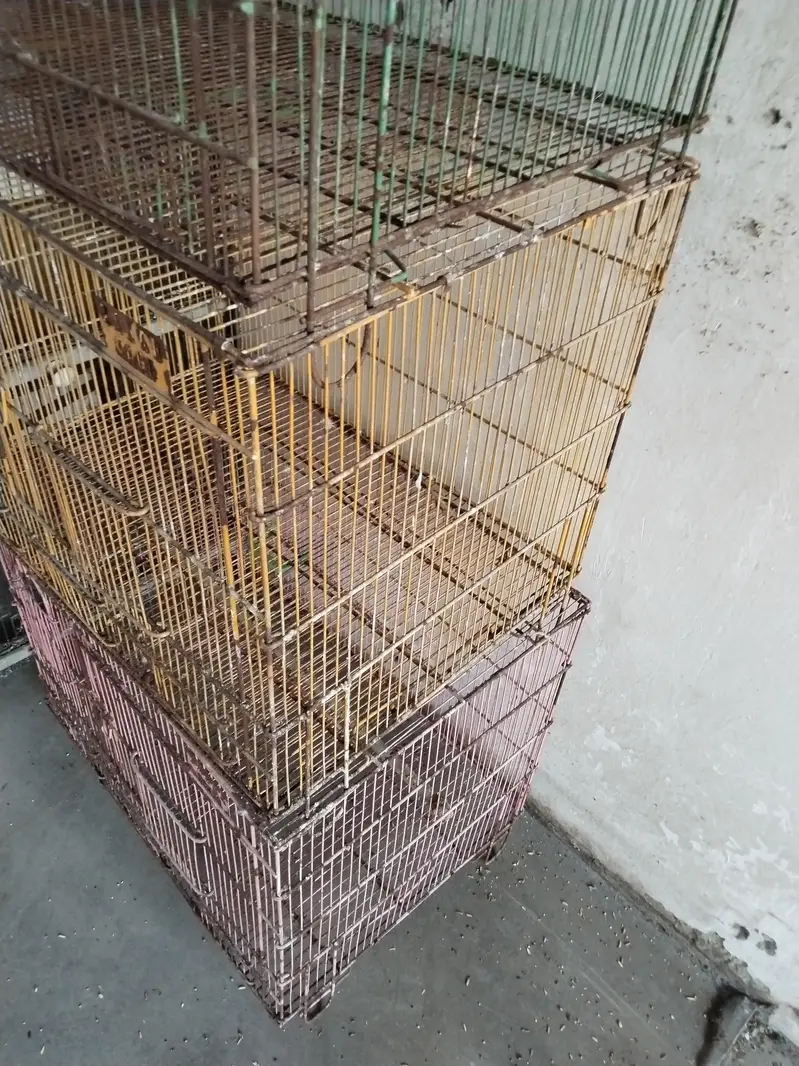 cage available 10 by 8 condition 3 pice  cage hay 4 portions  cage — photo 4