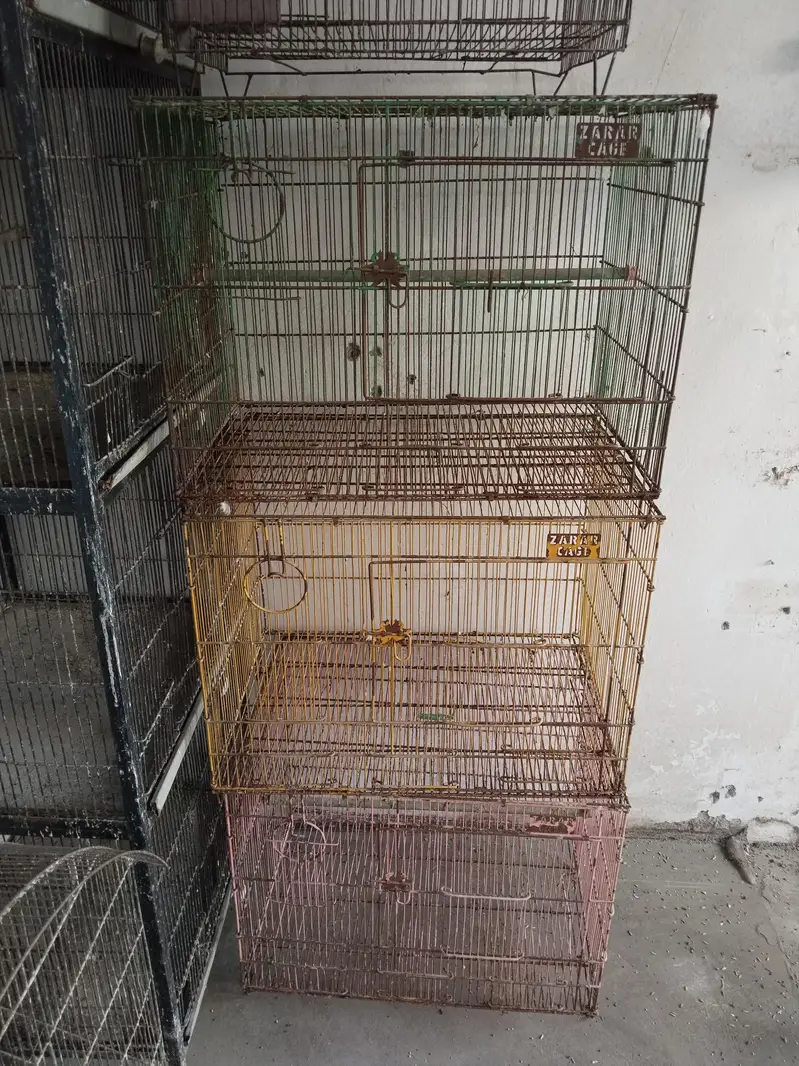 cage available 10 by 8 condition 3 pice  cage hay 4 portions  cage — photo 6