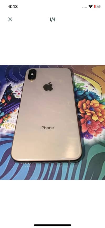 Apple iPhone XS Waterpack