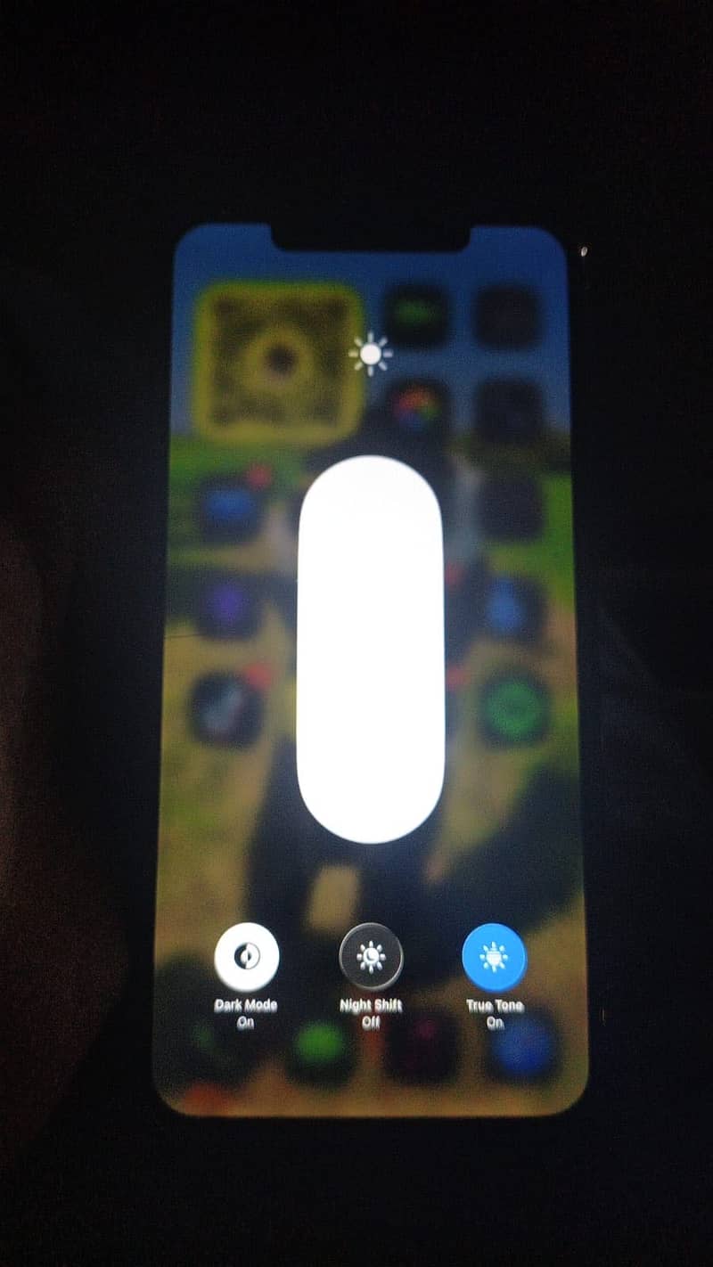Apple iPhone 11 Pro Max 2