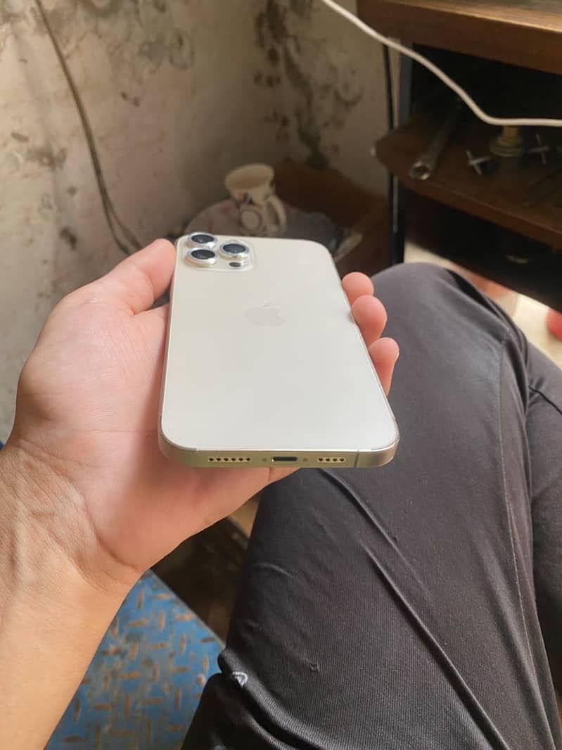 Apple iPhone 12 Pro Max 1