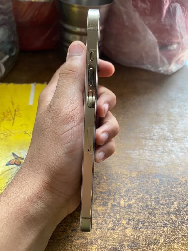 Apple iPhone 12 Pro Max 6