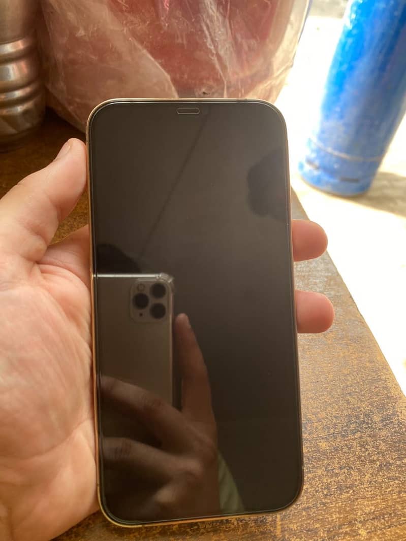 Apple iPhone 12 Pro Max 7