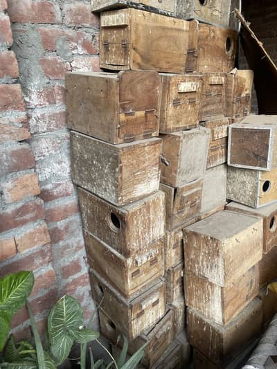 Wooden box / Nest box
