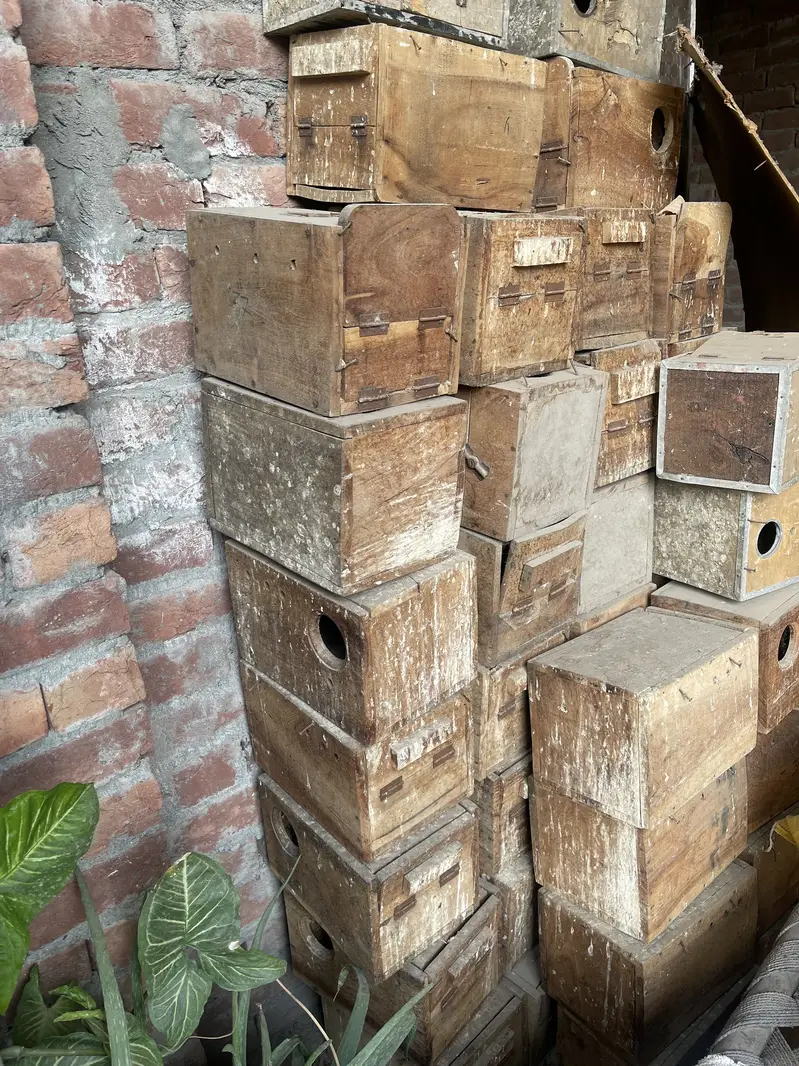 Wooden box / Nest box