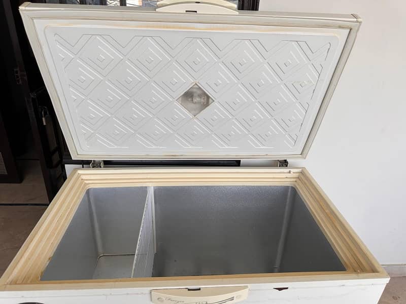 waves deep freezer 1