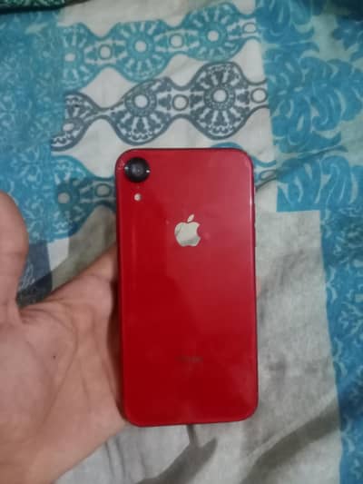 iPhone XR non pta 128gb