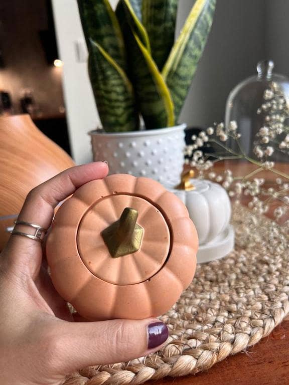 Pumpkin Jar with Lid Thanksgiving Table Decor Tea Candle Holder Trinket Box Halloween Gift | Witty Stone