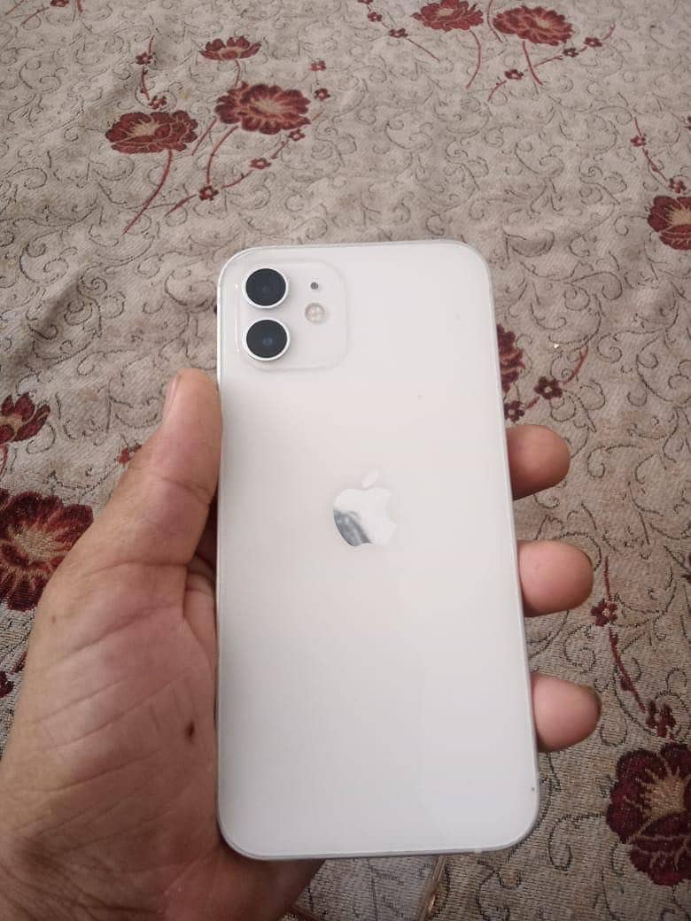 Apple iPhone 12 1