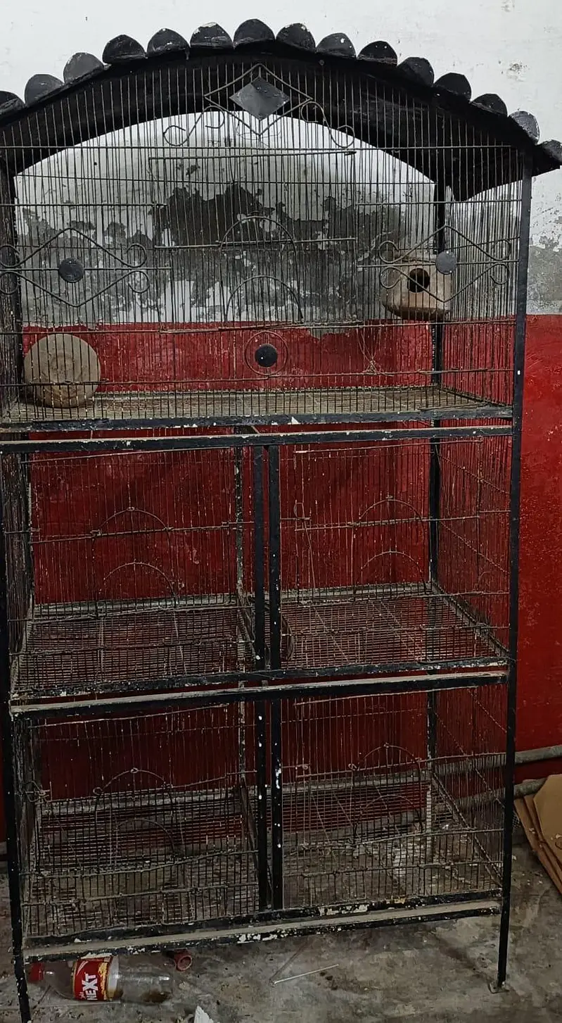 Birds Cage — photo 2
