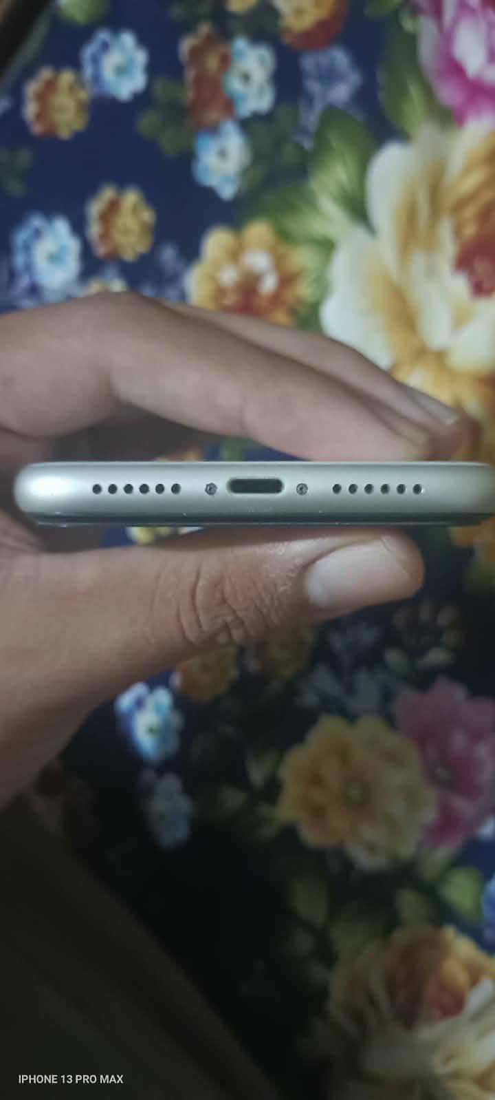 Apple iPhone 11 0