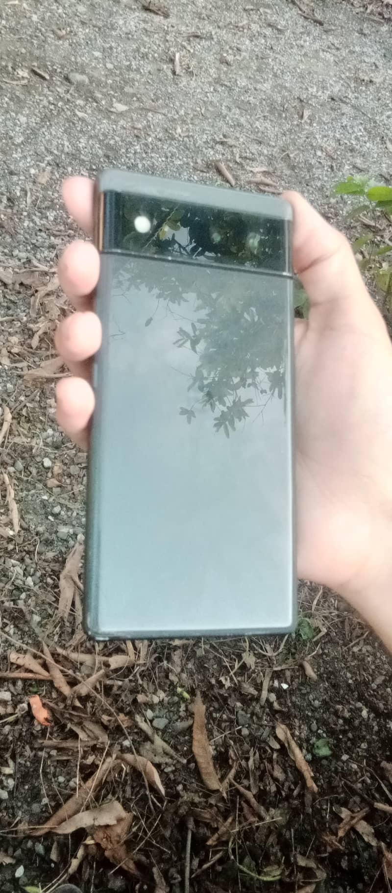 Google Pixel 6 1