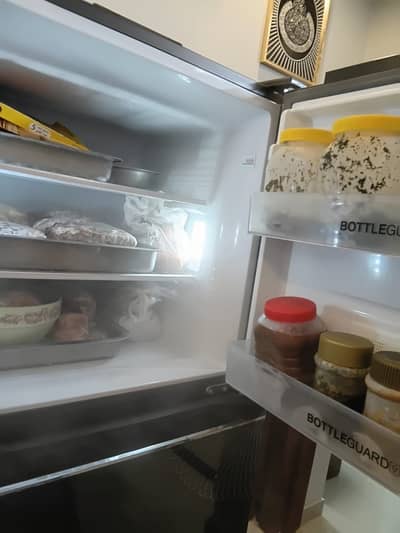 Inverter fridge
