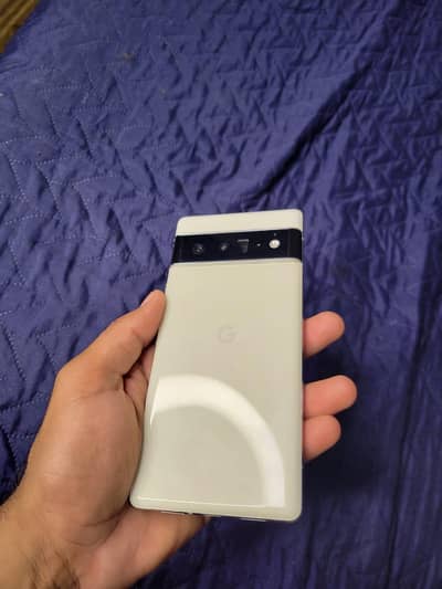 Pixel 6 Pro Fresh