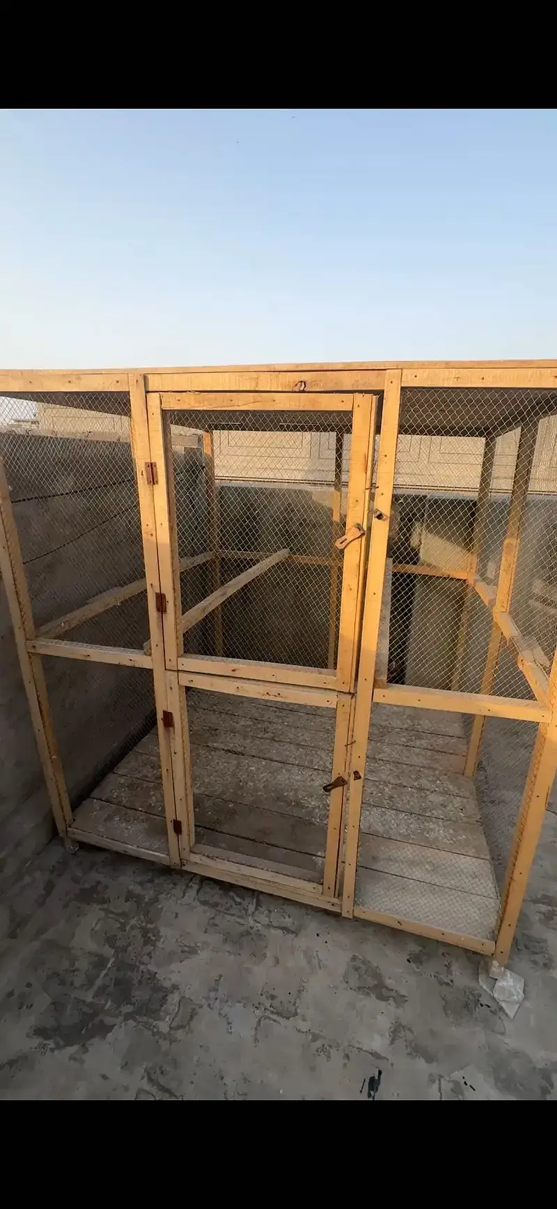 Parrot aviary Bird cage dog cage pigeon cage cat cage jaal pinjra — photo 5