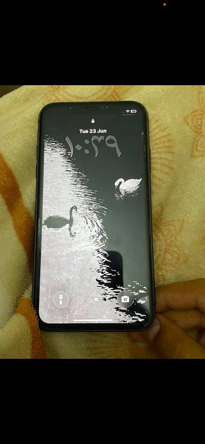 Apple iPhone 11 3