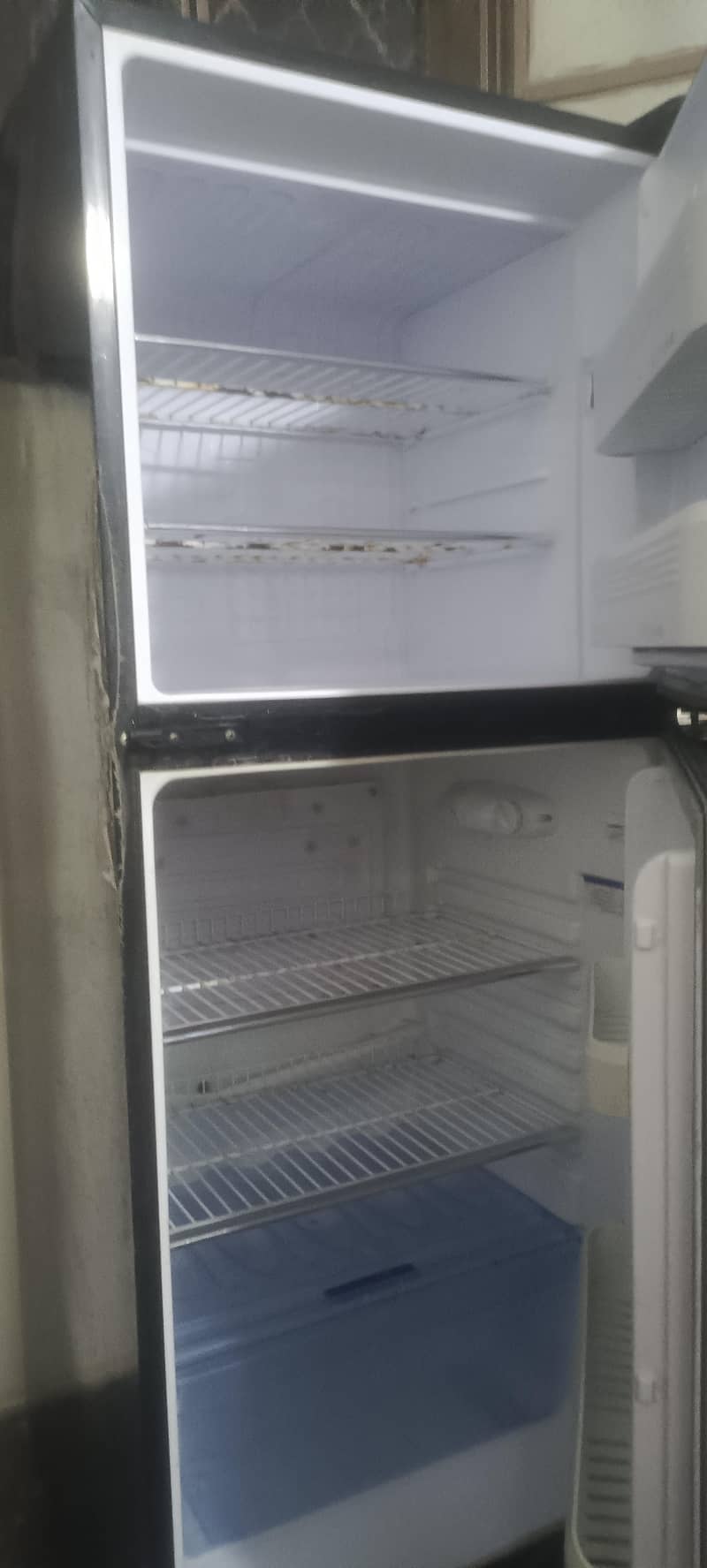 Orient Refrigerator 3