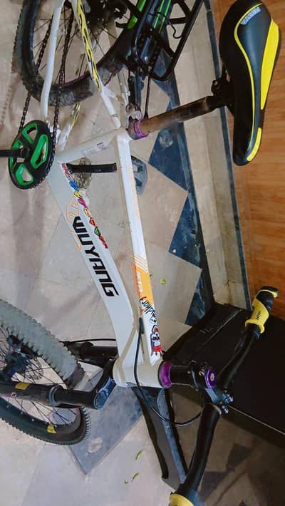 Japanese cycle