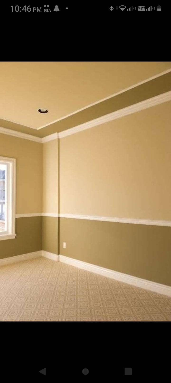 Professional Painter Rangsaaz. 1