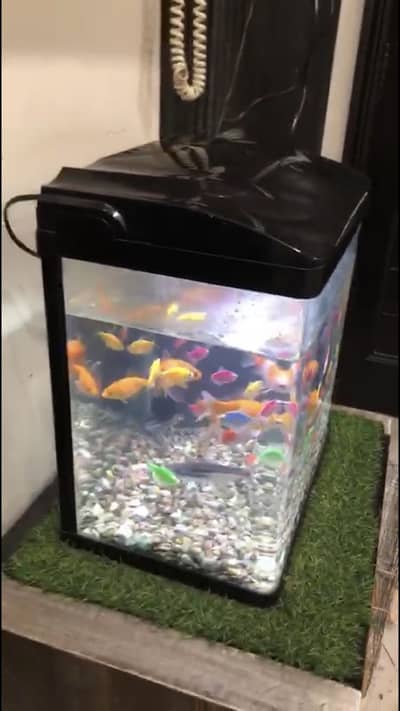 Aquarium