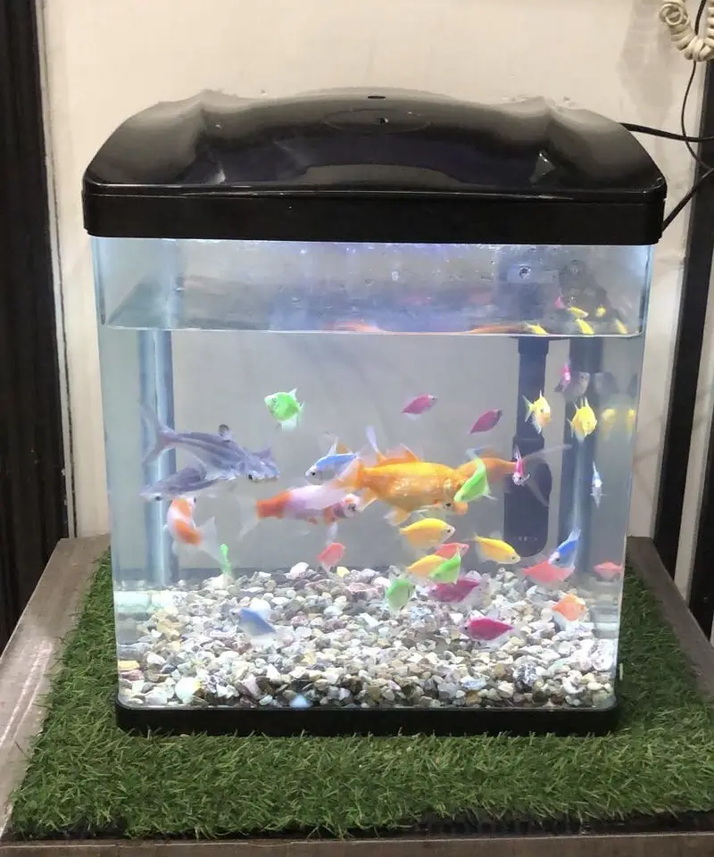 Aquarium — photo 2