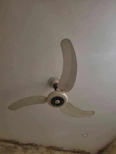 Royal Brand White Ceiling Fan