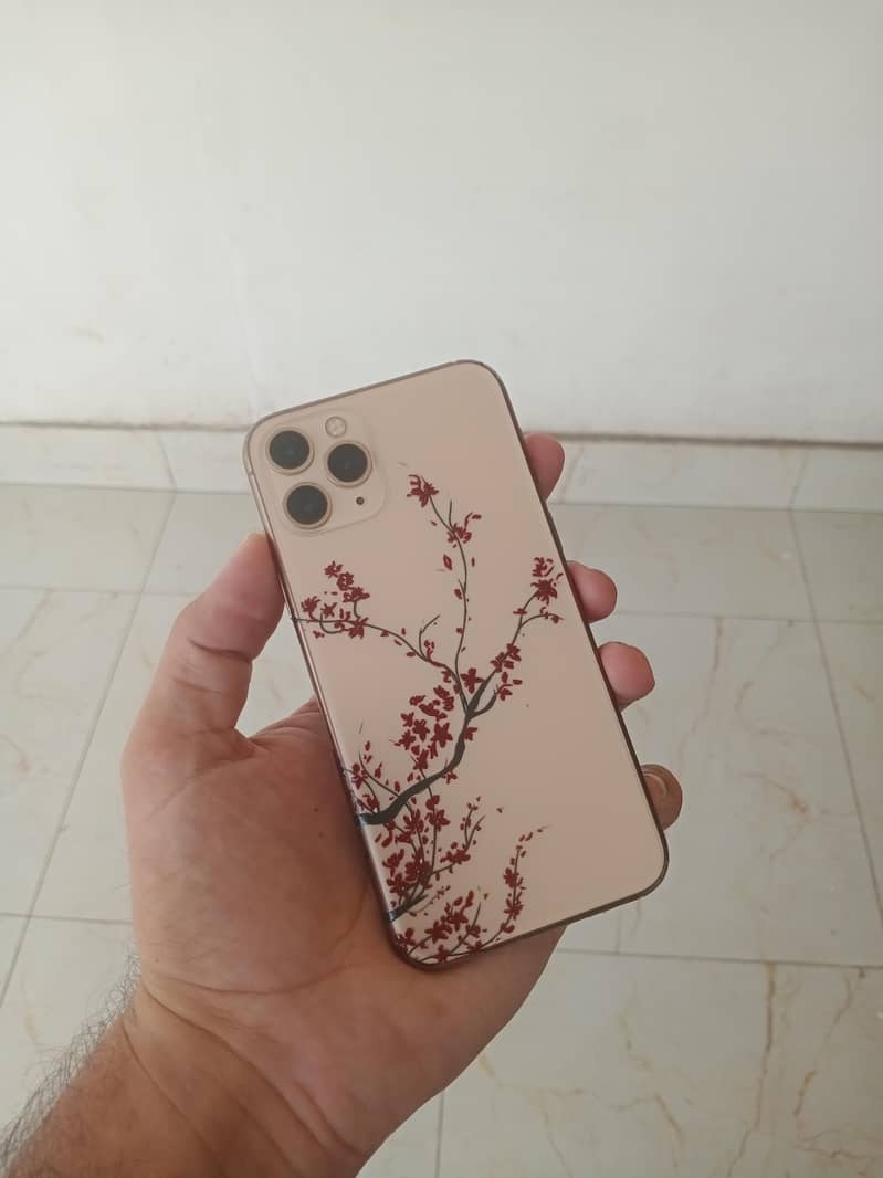 Apple iPhone 11 Pro 0