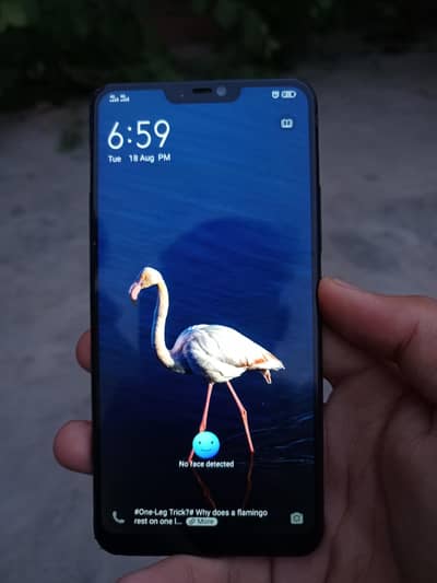 Vivo Other Model