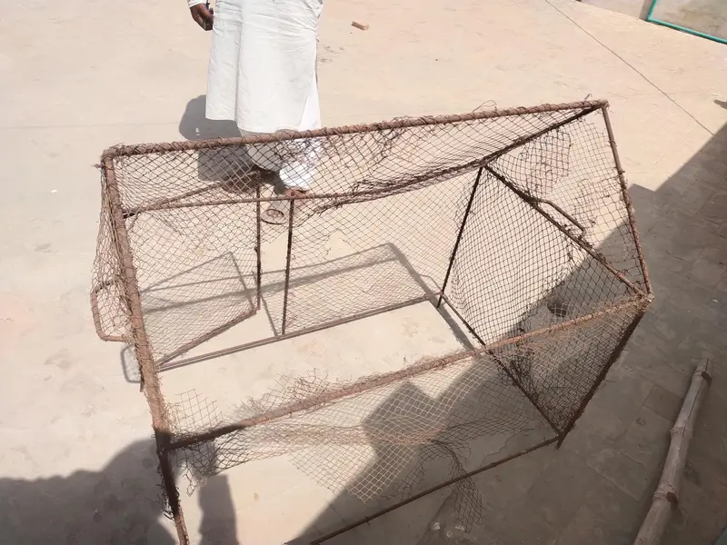Cage for sale in everege price — photo 2