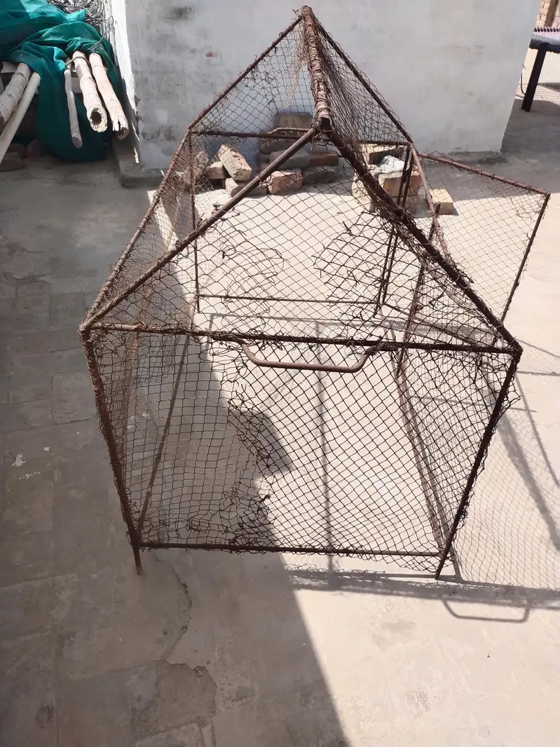 Cage for sale in everege price — photo 4