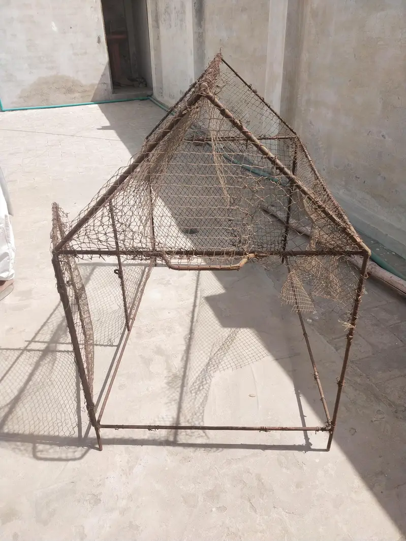 Cage for sale in everege price — photo 5