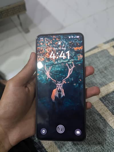 Realme 13 Plus