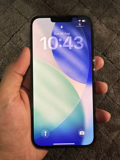 Apple iPhone 13 Pro Max