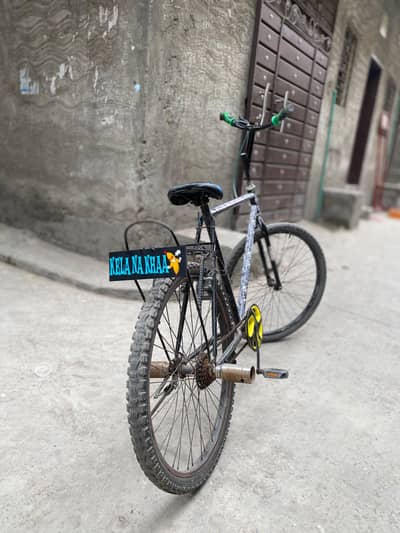 phoenix cycle 26 number