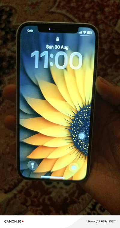 Apple iPhone 12