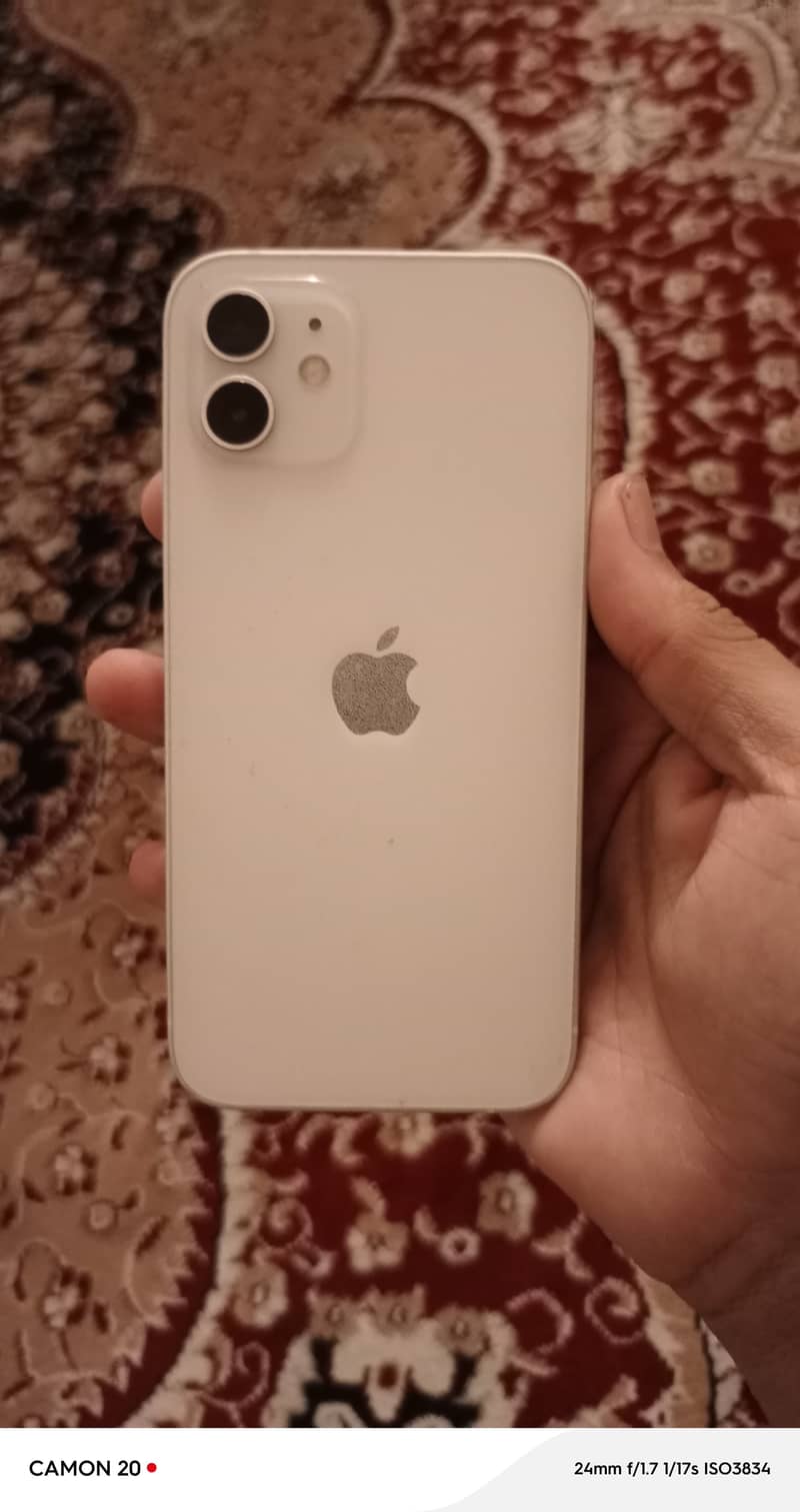 Apple iPhone 12 1