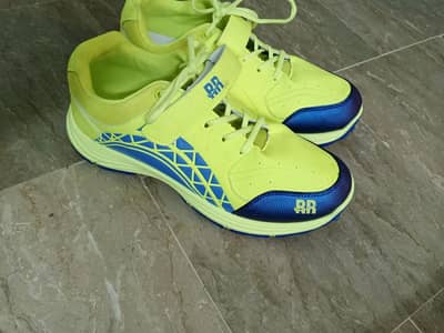Cricket High Quality Shoes griper Size: 44/10
