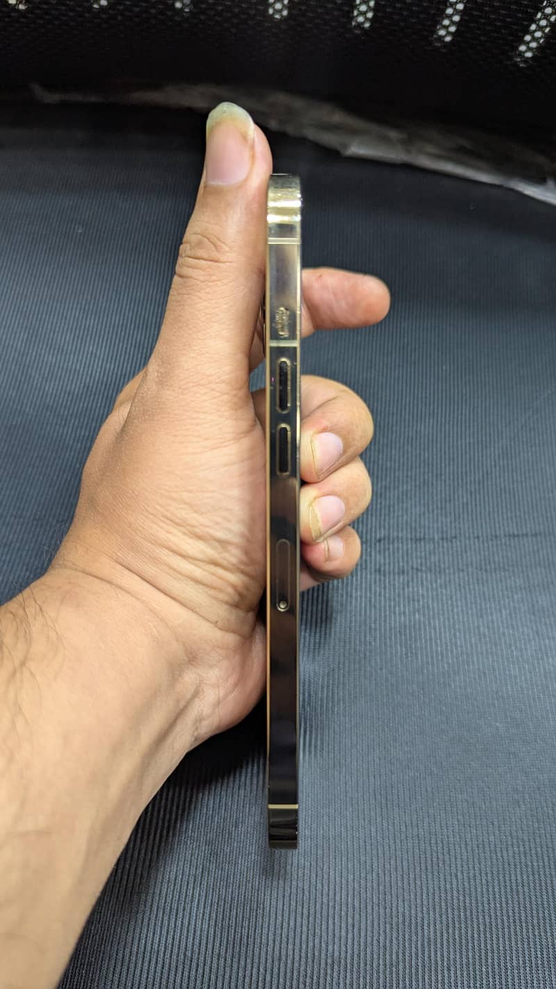 Apple iPhone 12 Pro Max 1