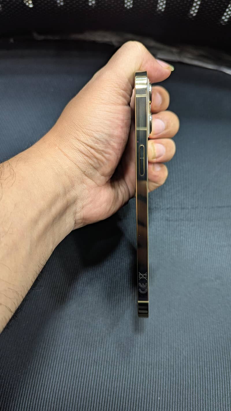 Apple iPhone 12 Pro Max 2