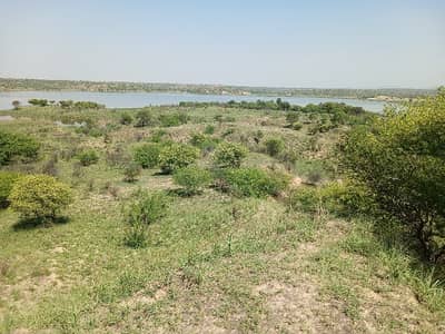 Best Land For Faram House Dhrabi Dam Balksar   200 Kanal For Sale