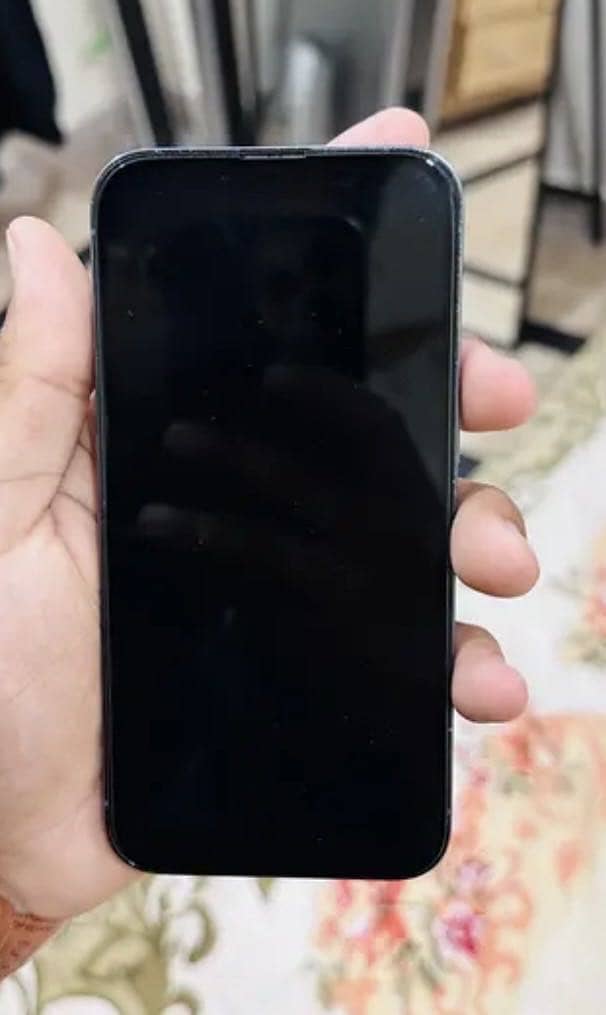 iPhone 13pro 1